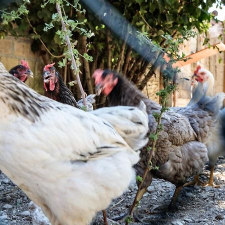 Tenuta Fonte Mosco' Ponzano di Fermo Eksteriør bilde