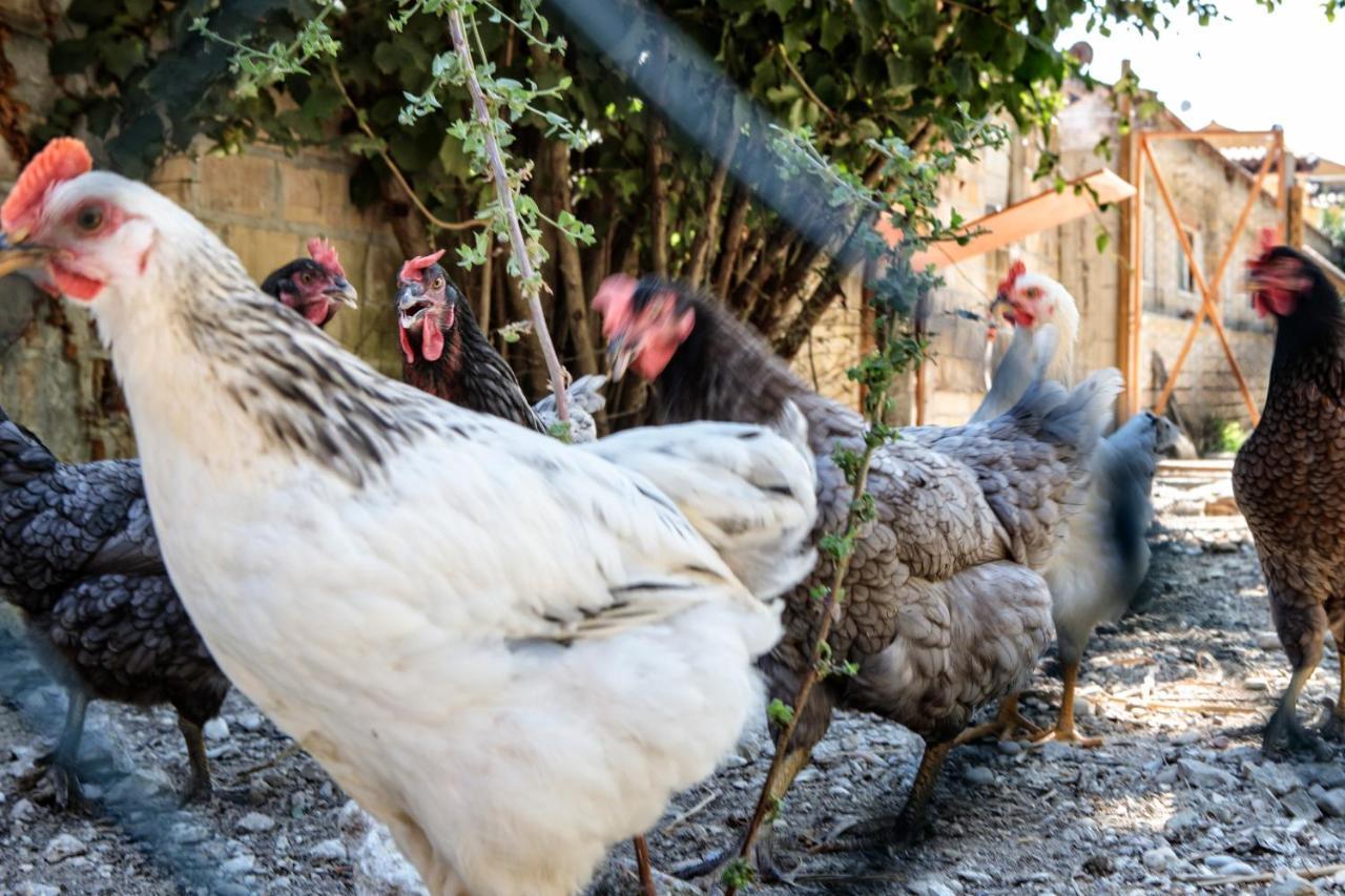 Tenuta Fonte Mosco' Ponzano di Fermo Eksteriør bilde