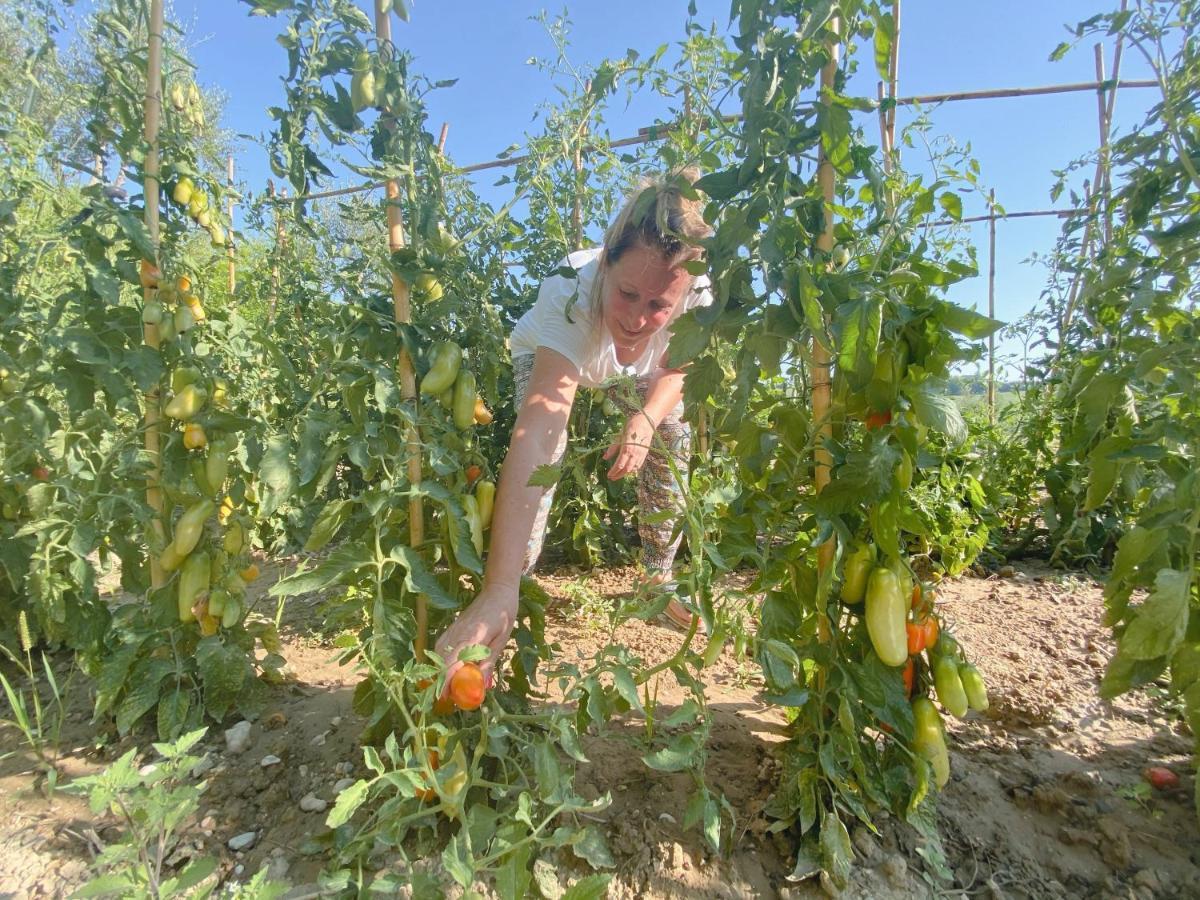 Tenuta Fonte Mosco' Ponzano di Fermo Eksteriør bilde