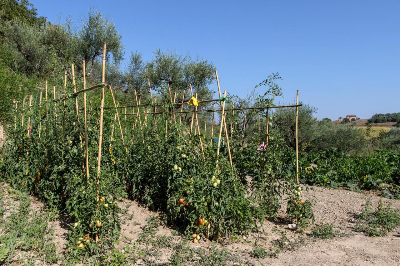 Tenuta Fonte Mosco' Ponzano di Fermo Eksteriør bilde