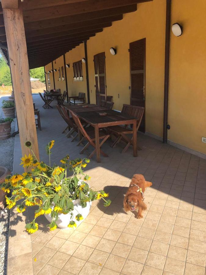 Tenuta Fonte Mosco' Ponzano di Fermo Eksteriør bilde